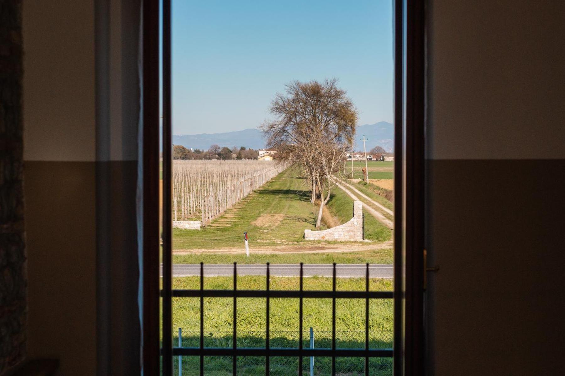 Agriturismo Mulino Delle Tolle Bagnario Arsa Ngoại thất bức ảnh