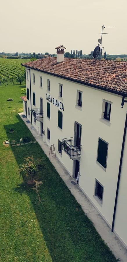 Agriturismo Mulino Delle Tolle Bagnario Arsa Ngoại thất bức ảnh