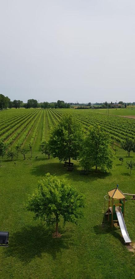 Agriturismo Mulino Delle Tolle Bagnario Arsa Ngoại thất bức ảnh